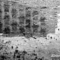 DSC06261-005