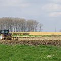 IMGP2461