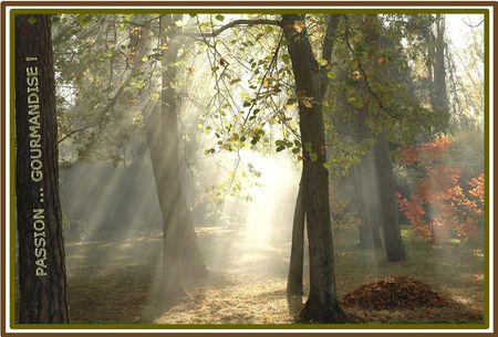 Automne_L