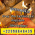 Explication sur le portefeuille magique / whatsapp: +22998648435