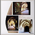 Portiragnes 2015 - abbaye de valmagne 5 - cloître