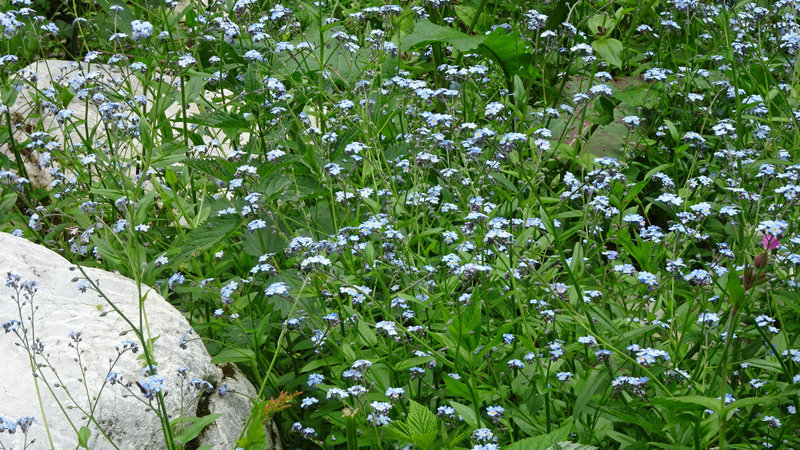 DSC00359