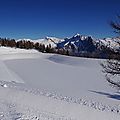 IMGP0567