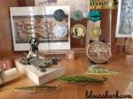 cabinet de curiosité ferme crocodile 2