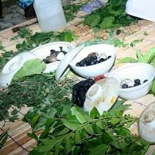 images (8)