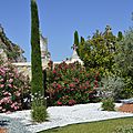 _DSC0287