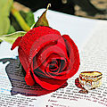 Encore plus d’amour