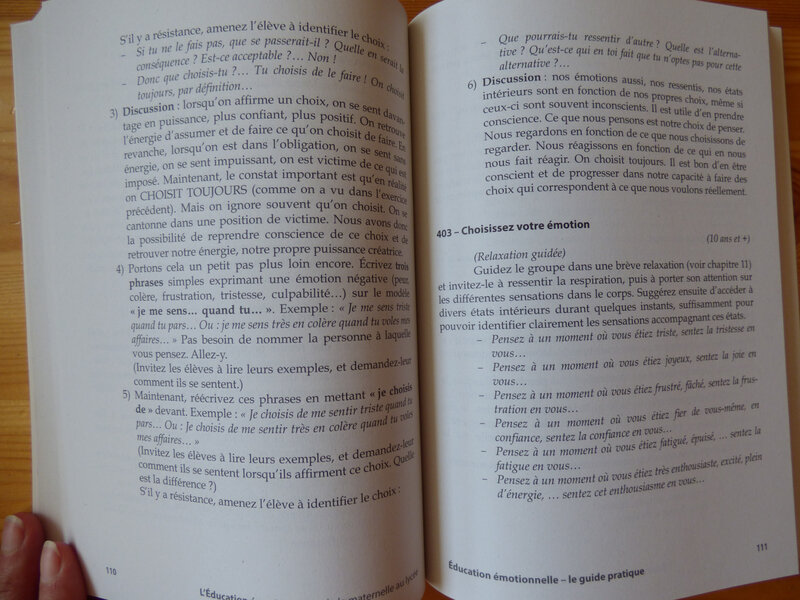 L'éducation émotionnelle (2)