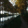 Balade le long du Canal du Midi