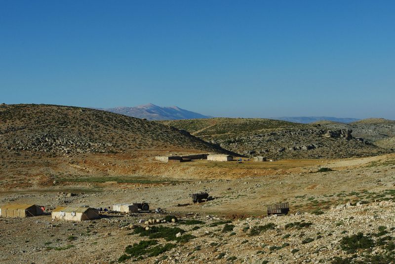 Bedouins 2