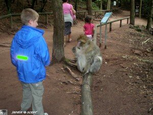 6863_Visiteur