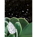 Magnificent white diamonds @ sotheby's hong kong