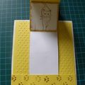 carte chat4