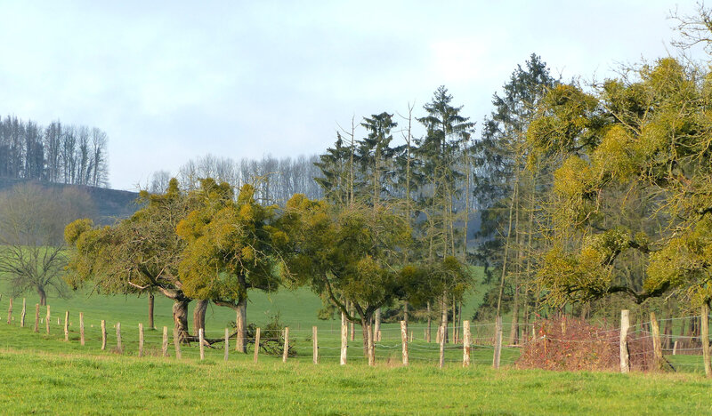 P1490586