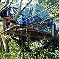notre-dame-des-landes---operation-nettoyage-de-la-foret-de-rohane--1378