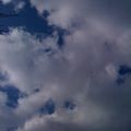IMG_0081