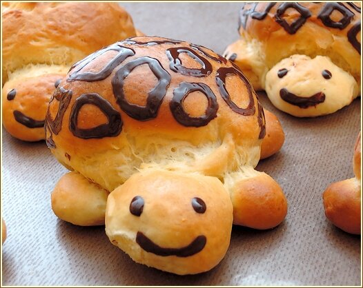bricche tortue 1