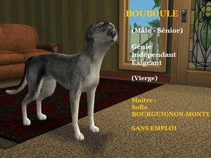 BOUBOULE