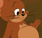 Rat