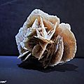 Rose des sables - Chott El-Jerid au sud Tunisie