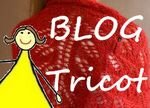 avatar-blogtricot1