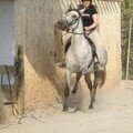 2006 - Espagne