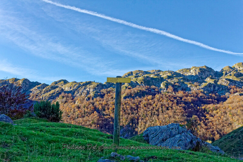 _MG_5574_DxO