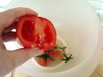 tartare__1_