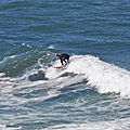 IMG_8140