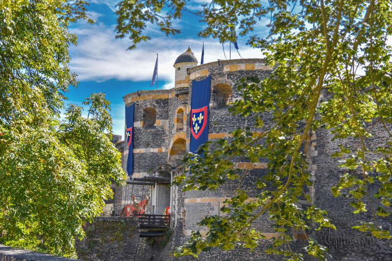 Notes sur le château d'Angers René I d'Anjou, Traité de la forme et devis comme on peut faire les tournois