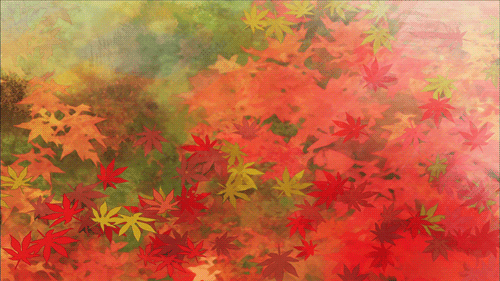blog-background_Autumn-GIF-feuilles-1