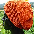 Bonnet Vitamine, profil 1