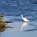 IMG_1967 - Copie