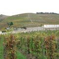 Rhône Nord-2 2006 030