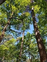 20170527_101303