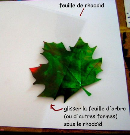 59_AUTOMNE_Fenêtres d'automne gel vitrail étape1