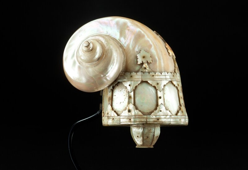 nautilus_shell_small