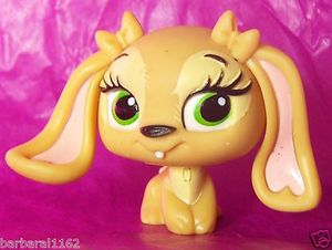 Oh_ma_beautiful_chien__Coraline_
