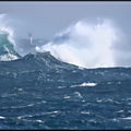 VAGUE_SCELERATE__URIENTI__CORSE_