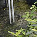 _DSC0035