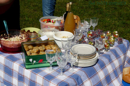 picnic_sal__1