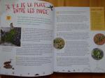 A-la-decouverte-de-la-nature-dans-les-villes-et-les-jardins-1-850x638