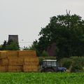 _IGP2323