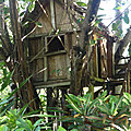 P1230705