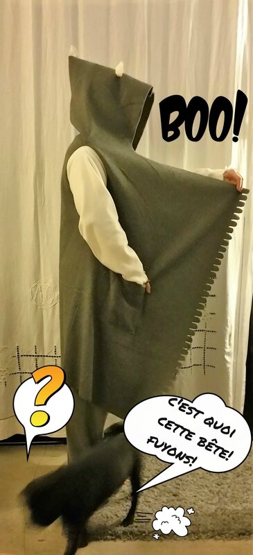 manteau souris
