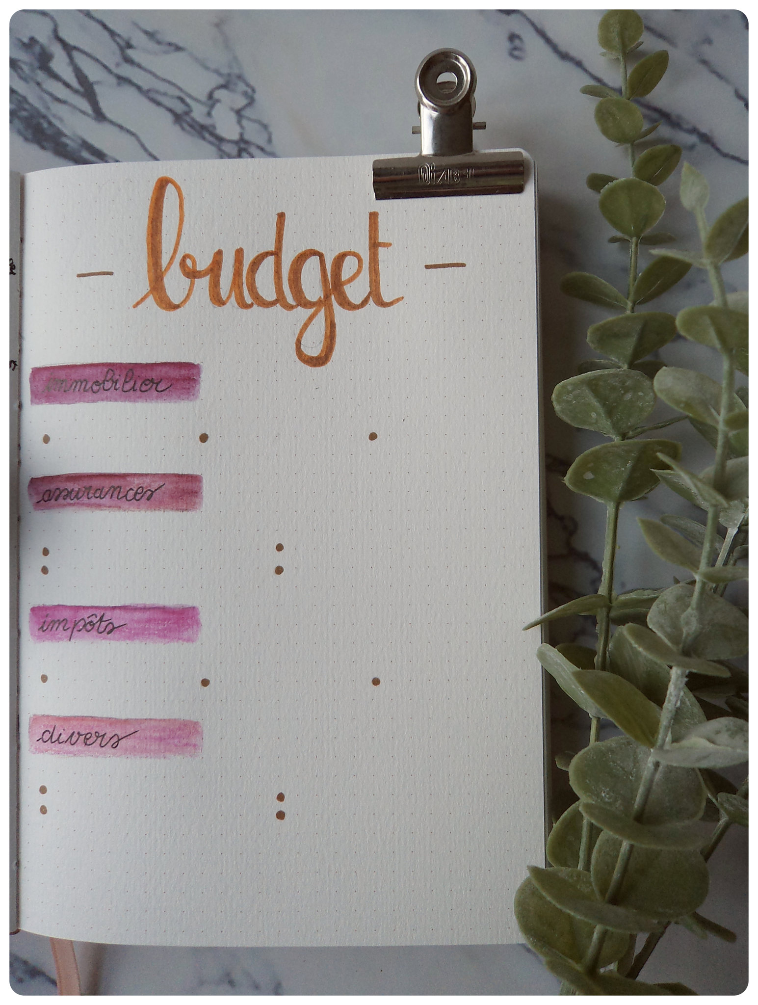 Budget planner - Cahier de compte : Livre journal de tenue de