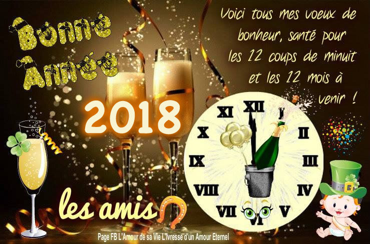 bonne-annee_036b
