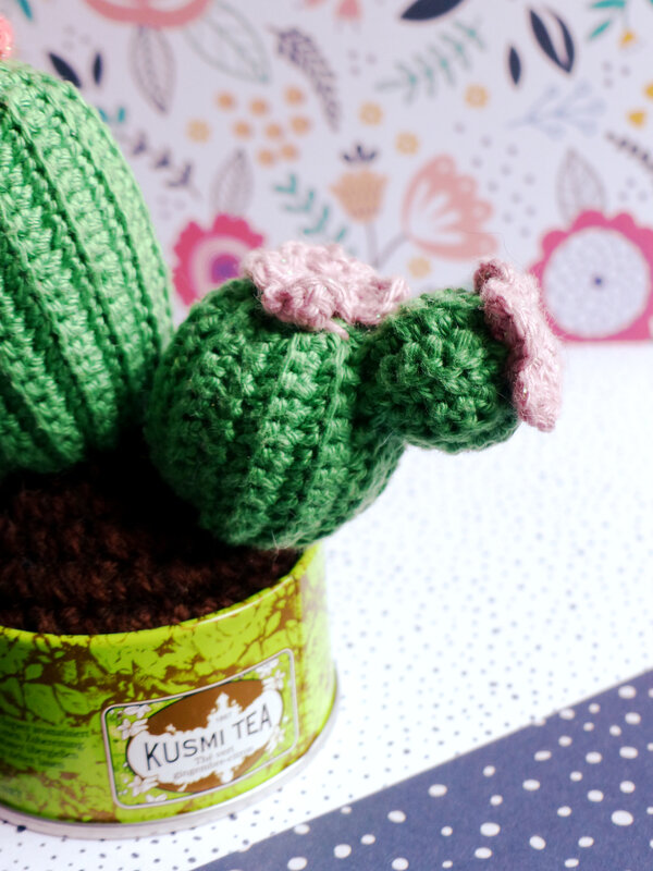 cactus-crochet-pot-kusmi-tea-plantes-emma-varnam-eyrolles01