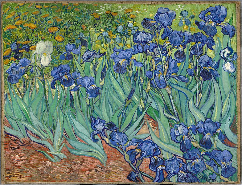 785px-Irises-Vincent_van_Gogh