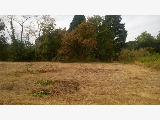 Photo-vente-terrain-Lot-278-côté-sud-est-La-Braneyre-Escource